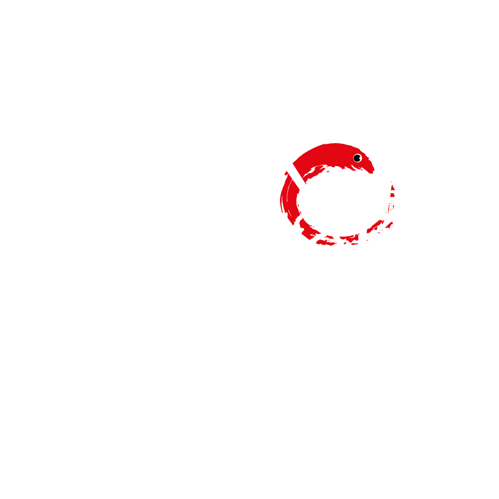 Coconut Balls ( 4 Stück) Coconut Balls ( 4 Stück)