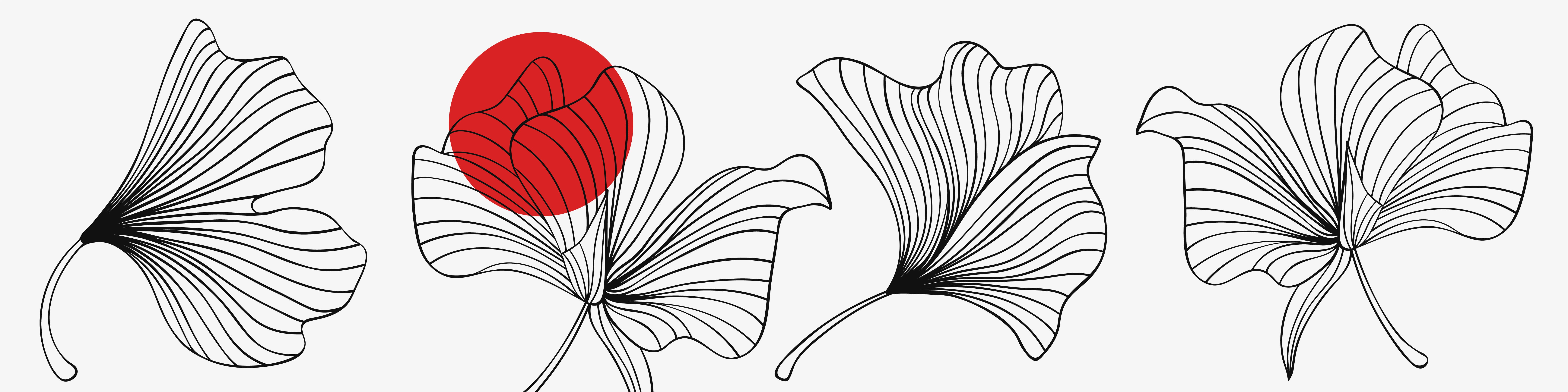 Baked Rolls Baked Rolls