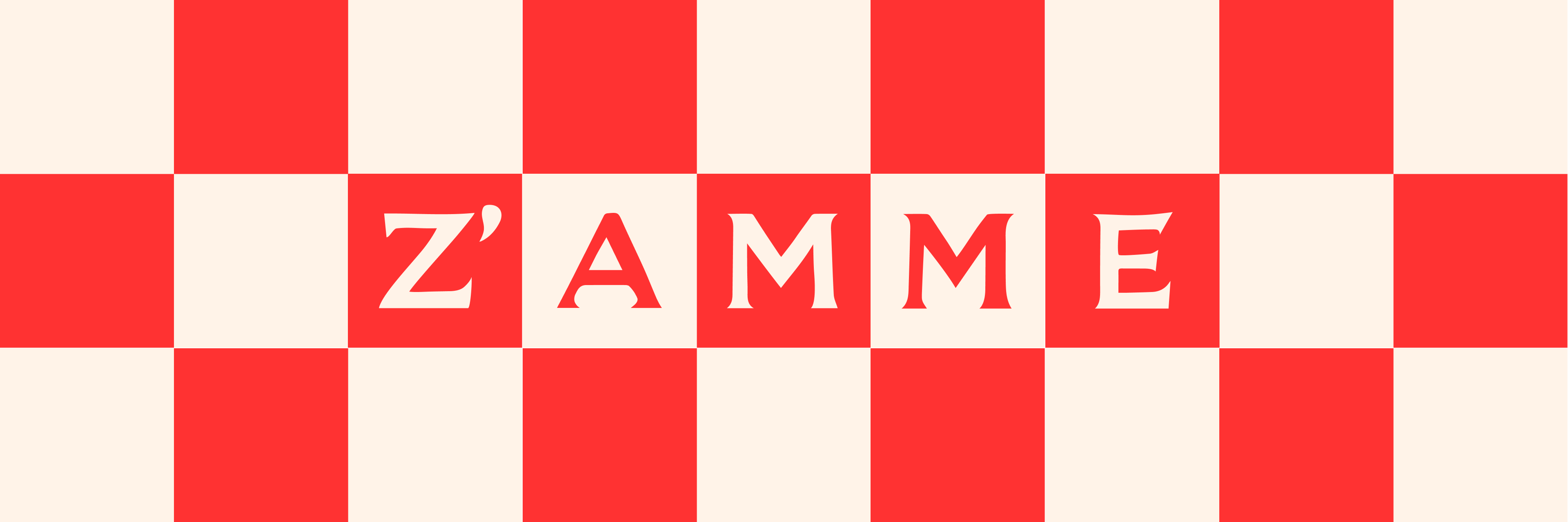 Z'amme Logo